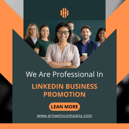 Linkedin business promotion