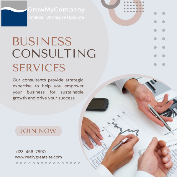 business consulting management